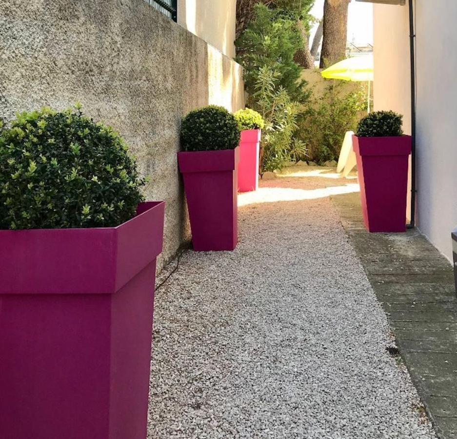 Villa Du Golfe - Studio Saint Jean La Ciotat Extérieur photo